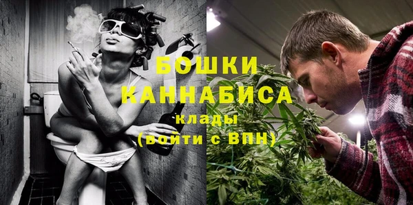 прущие грибы Сясьстрой