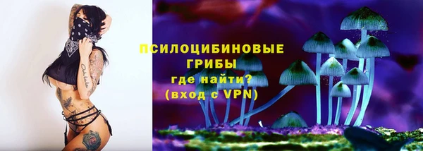 стаф Абинск