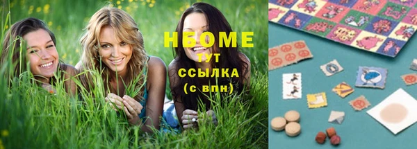 прущие грибы Сясьстрой