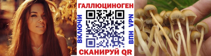 Галлюциногенные грибы Cubensis  KRAKEN рабочий сайт  Щучье 